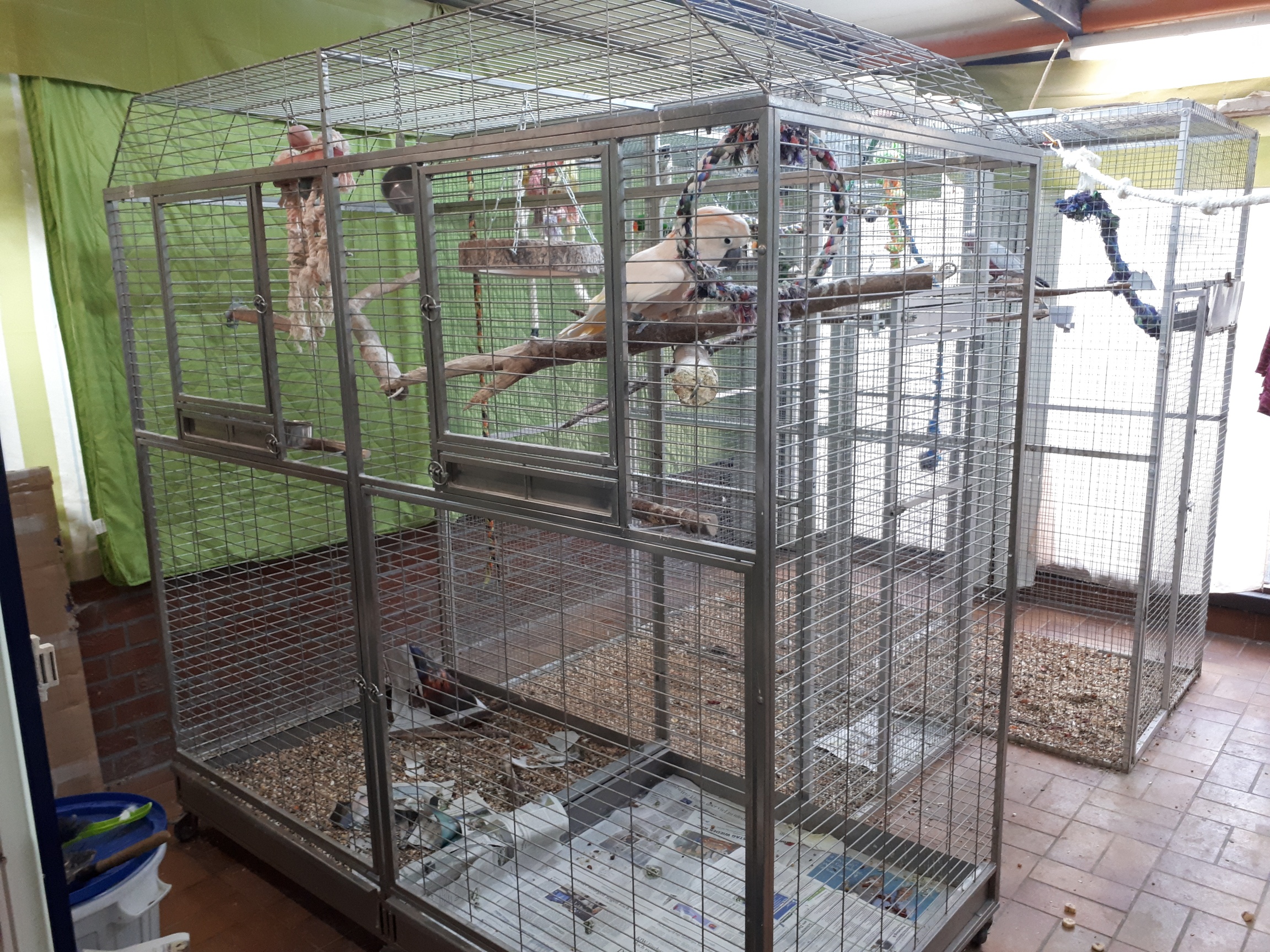 Tinas kleiner Vogelpark Infos zur Papageienhaltung Käfig//Voliere